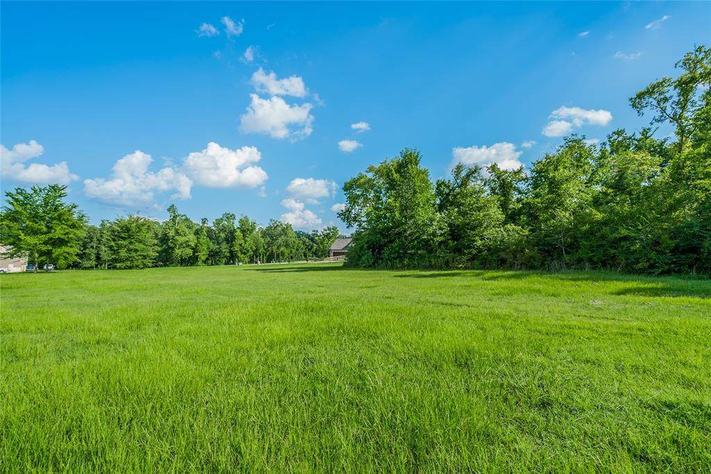 TBD Emerald Lakes Boulevard - Photo 1