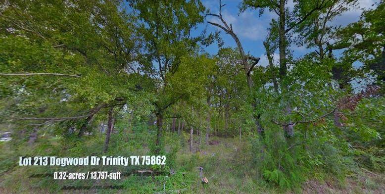 Lot 213 Dogwood Drive - Photo 1