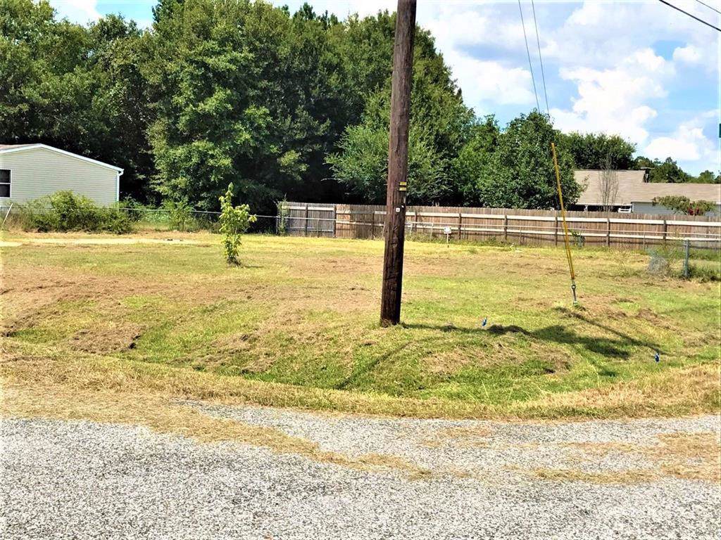 16139 Lone Star Ranch Drive - Photo 1
