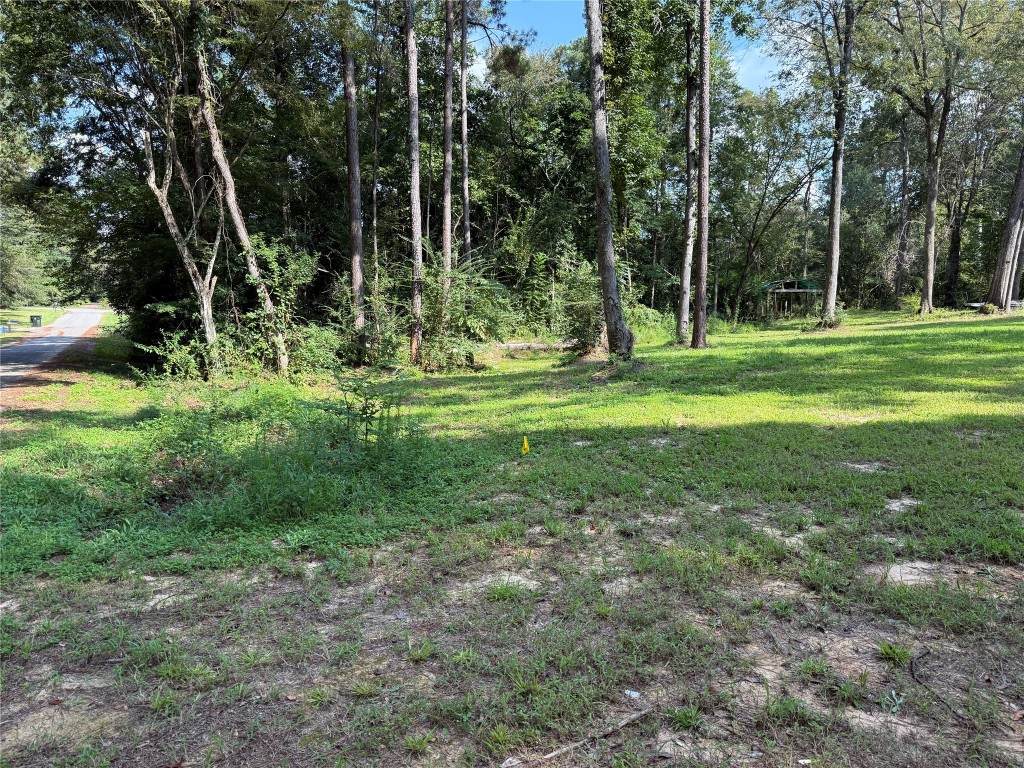 220 Beechwood Street - Photo 1