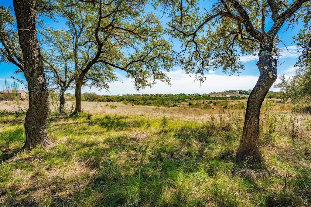 Lot 180 Cedar Mountain Drive - Photo 1