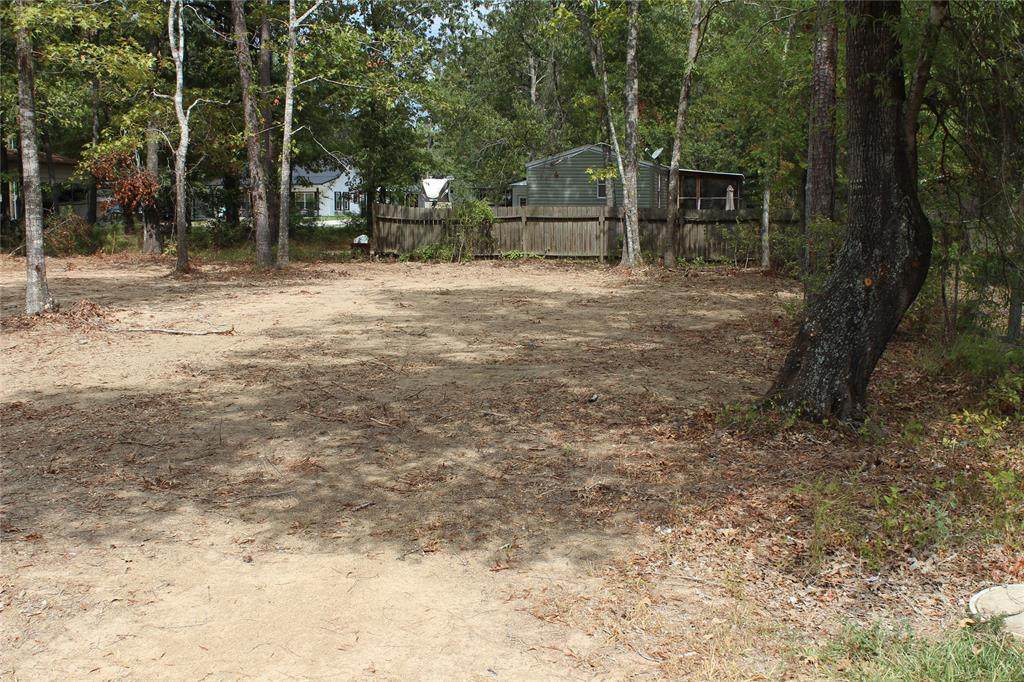 00 Roatan Drive - Photo 1