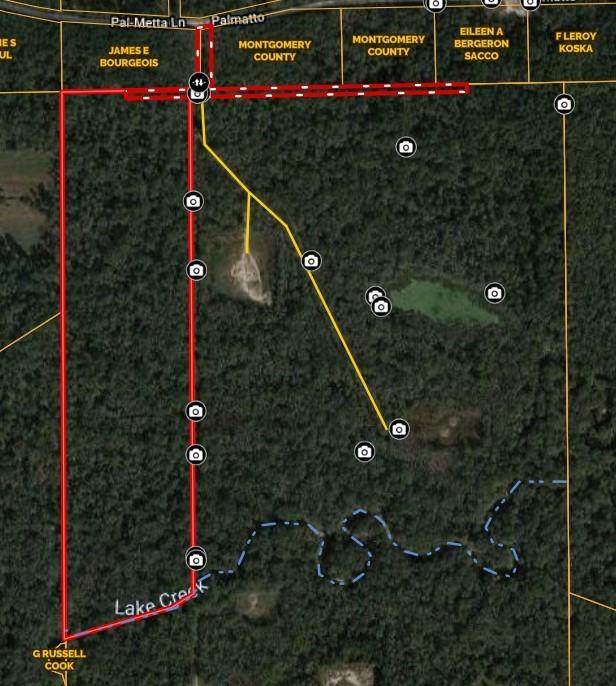 TBD 1 Palmetta Drive - Photo 1