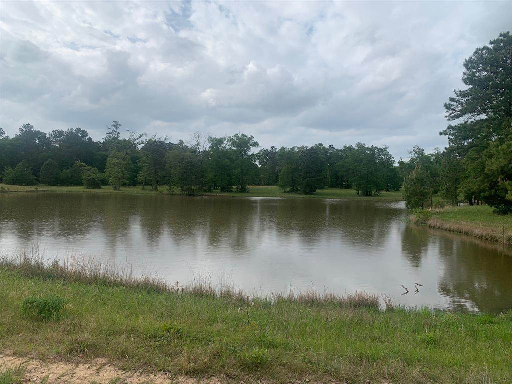 25750 Johnson Road - Photo 1