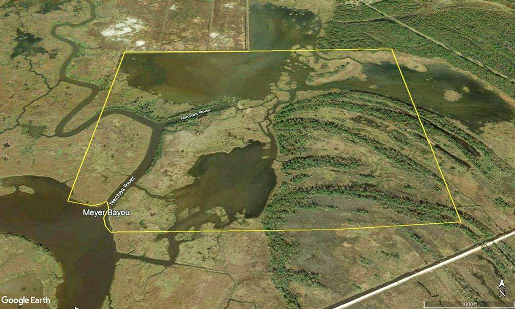 0 Neches River - Photo 1