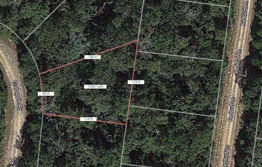 Lot 42 Crab Apple Drive - Photo 1