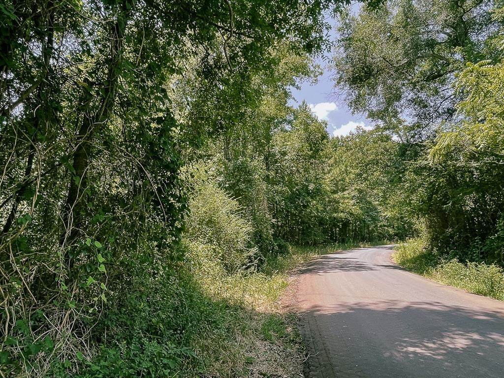 0 Dog Neck Road - Photo 1