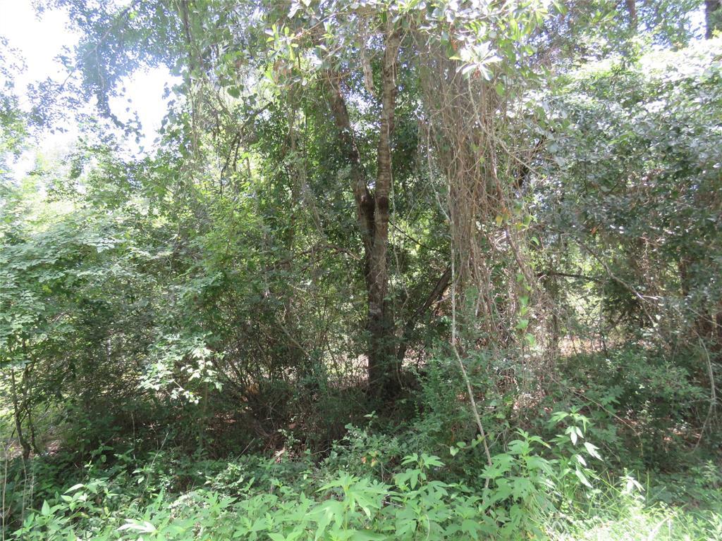 0 Carter Road - Photo 1