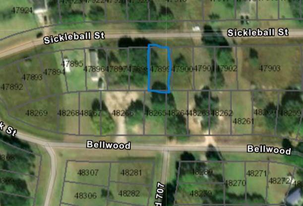TBD Sicklebill Street - Photo 1