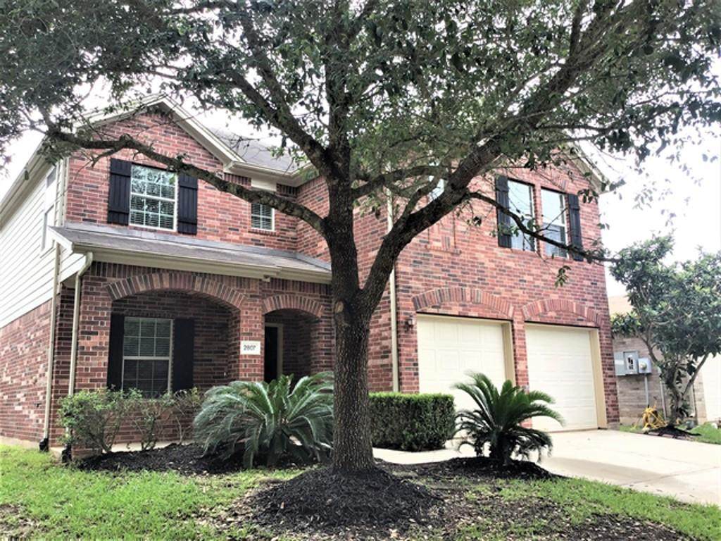 2807 Bison Bluff - Photo 1