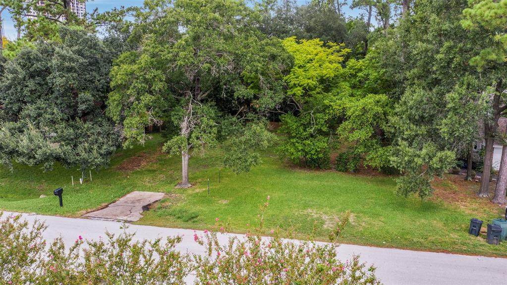 11710 Denise Drive - Photo 1