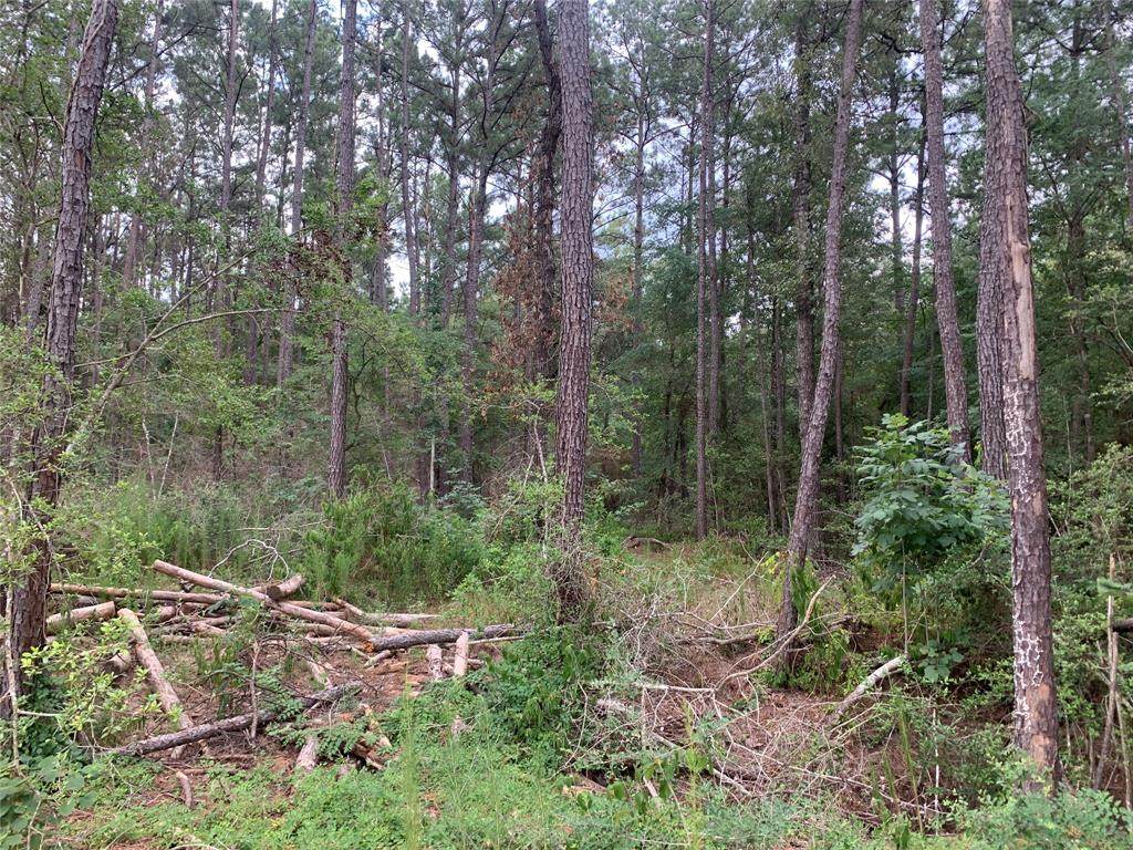 003 Acacia Lane - Photo 1