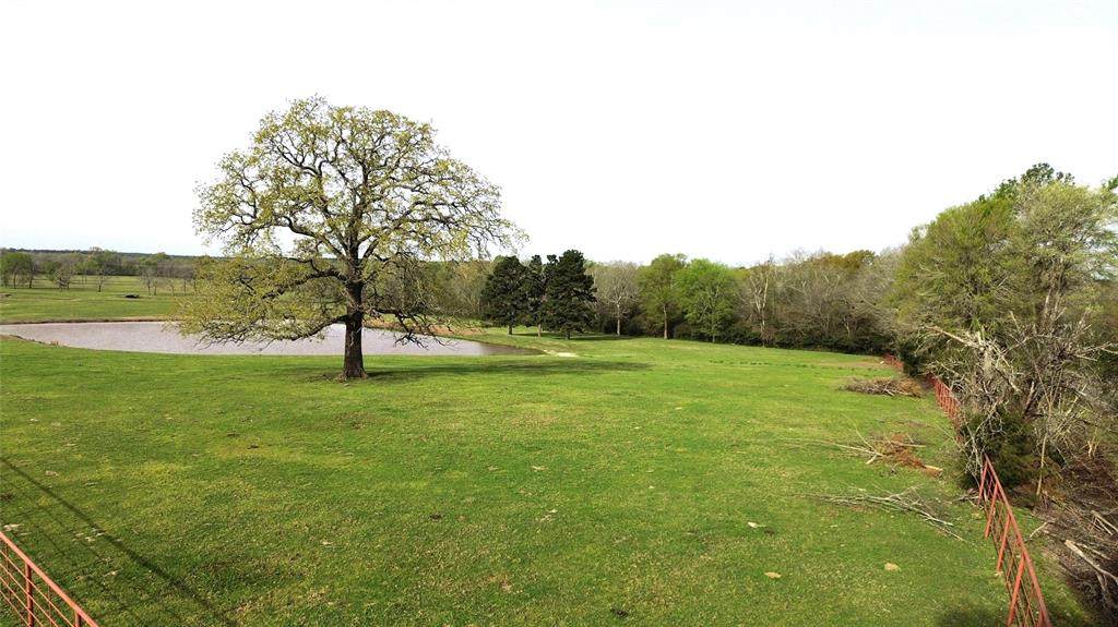 3145 Fm 1280 - Photo 1