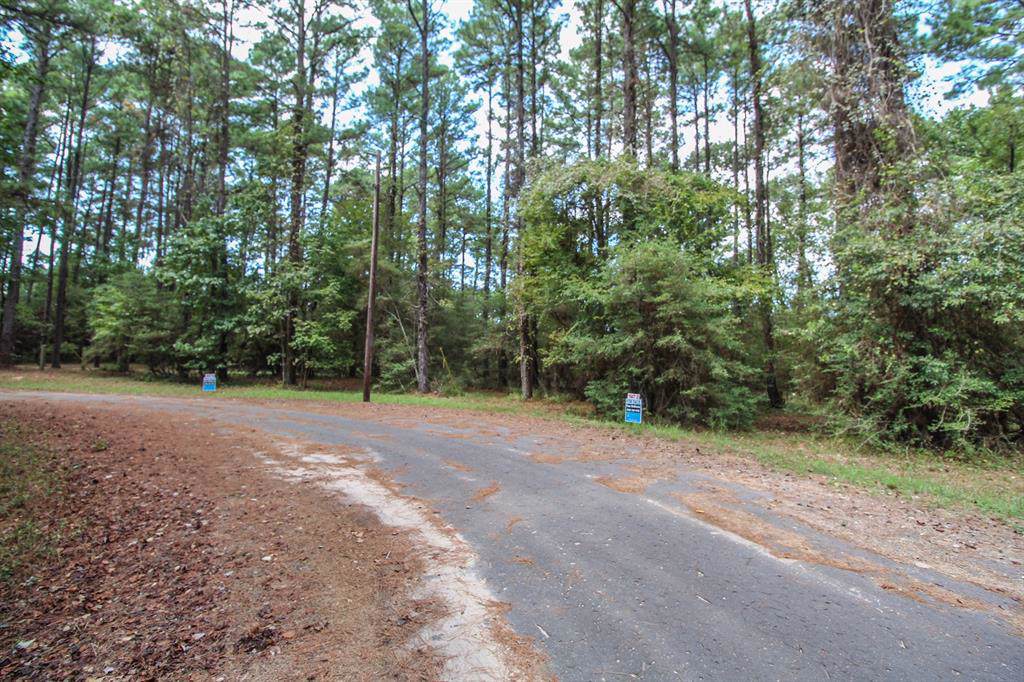 TR 20 Grand Pine Loop - Photo 1