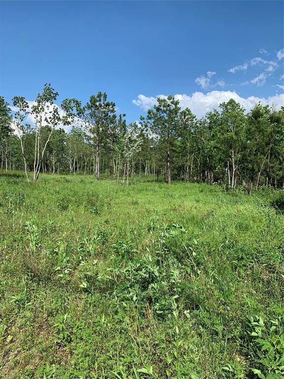 576 County Road 614 - Photo 1