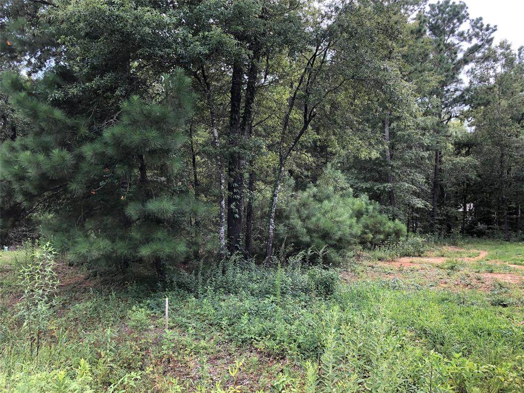 TBD Moonlite Drive - Photo 1