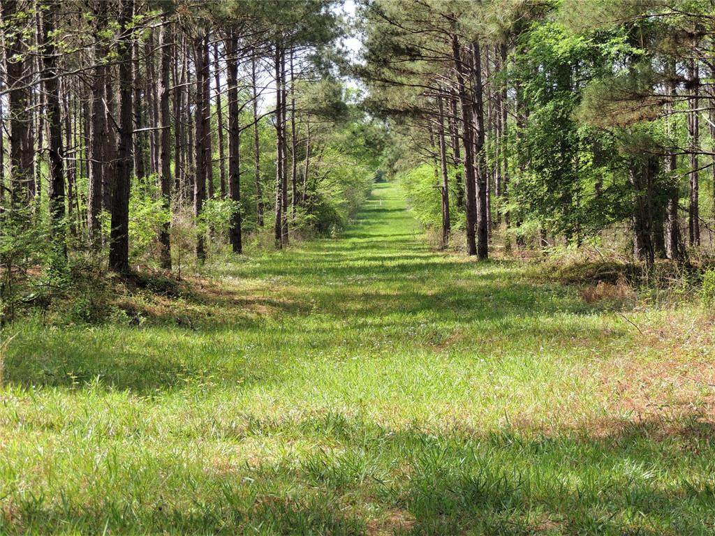 TBD County Rd 2604 - Photo 1