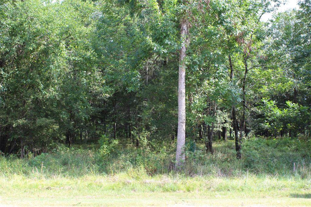 TBD Lot 438 Shoreline Drive - Photo 1