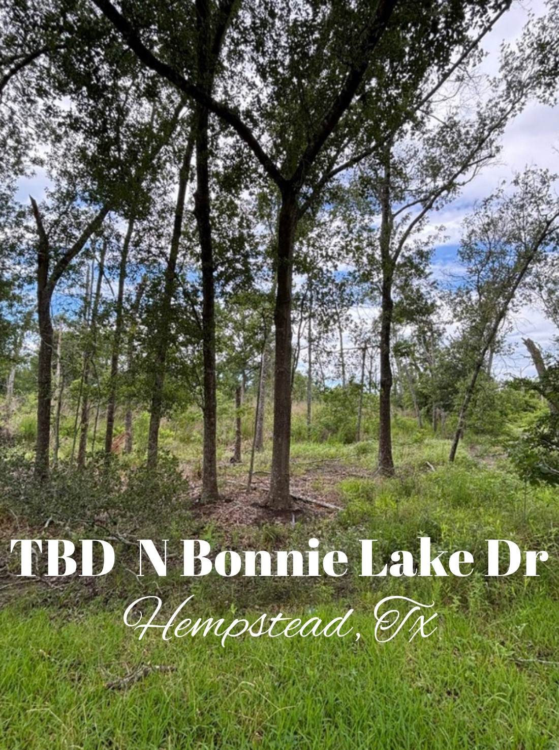 TBD N Bonnie Lake Dr - Photo 1