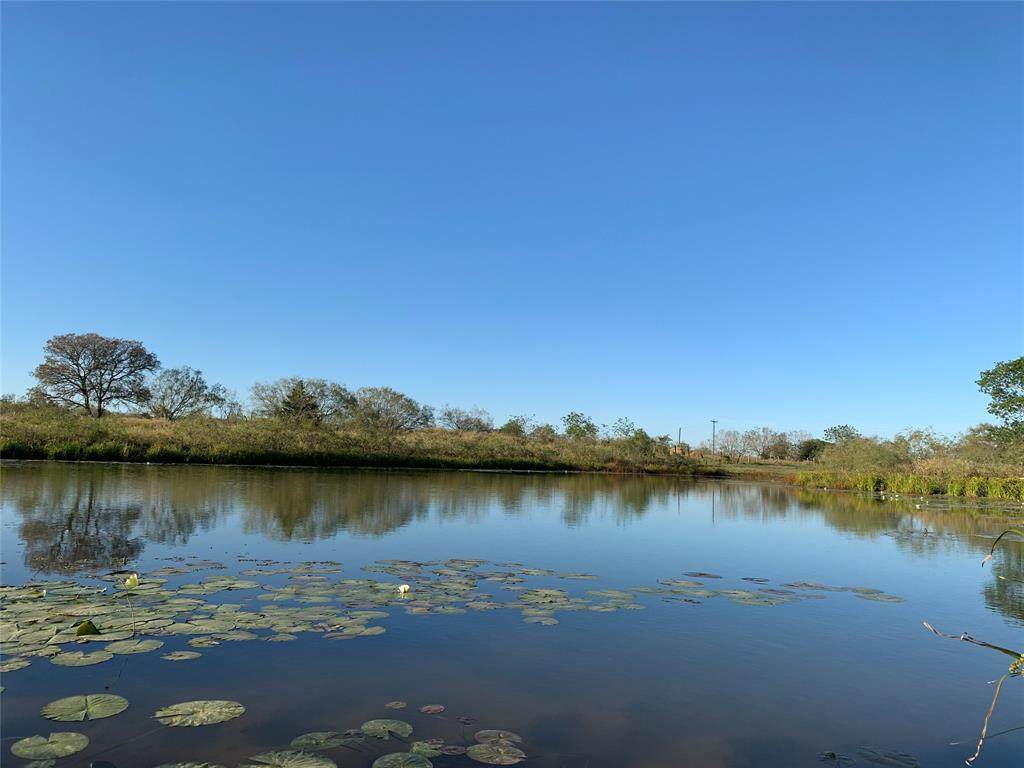 3238 County Road 116 - Photo 1