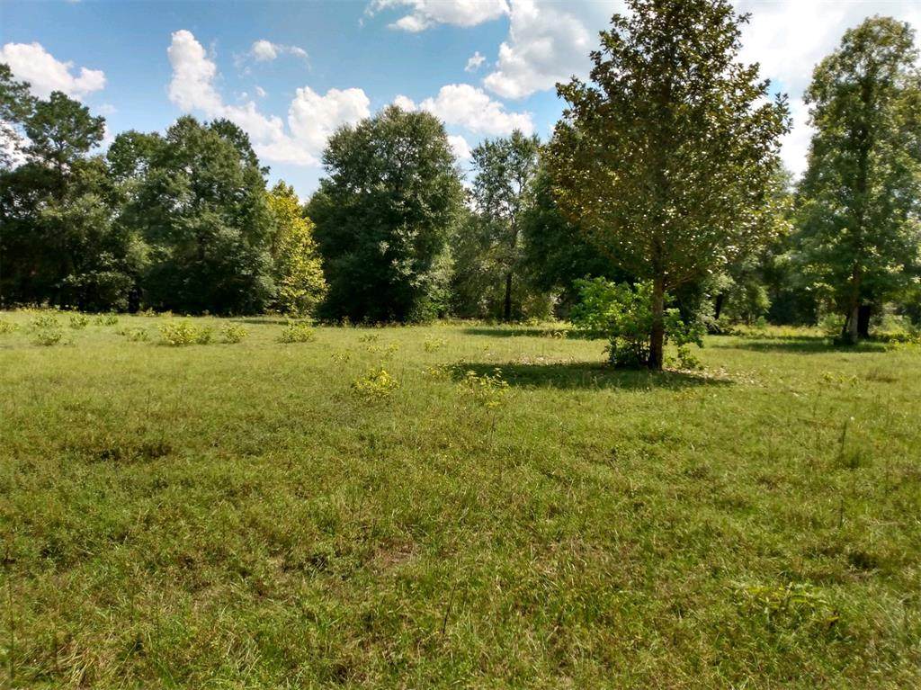 134 Andrew Jackson Drive - Photo 1