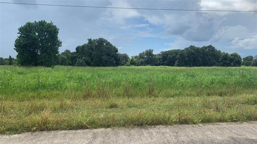 1537 Frontier Trail - Photo 1