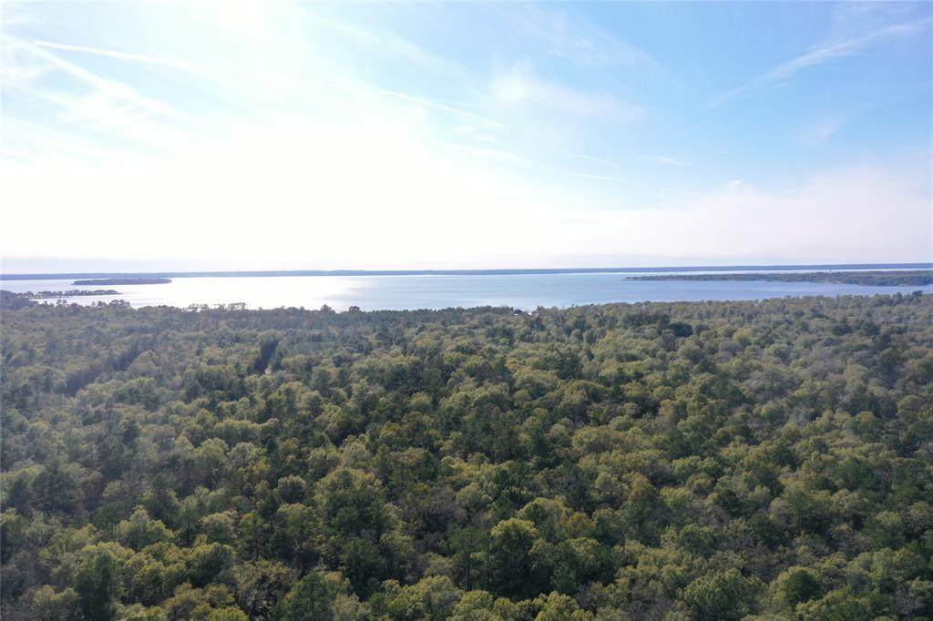 TBD Mangum Road - Photo 1