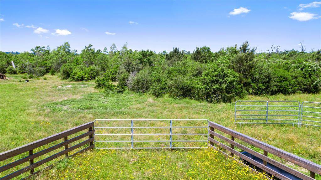 000 Piney Woods Rd - Photo 1