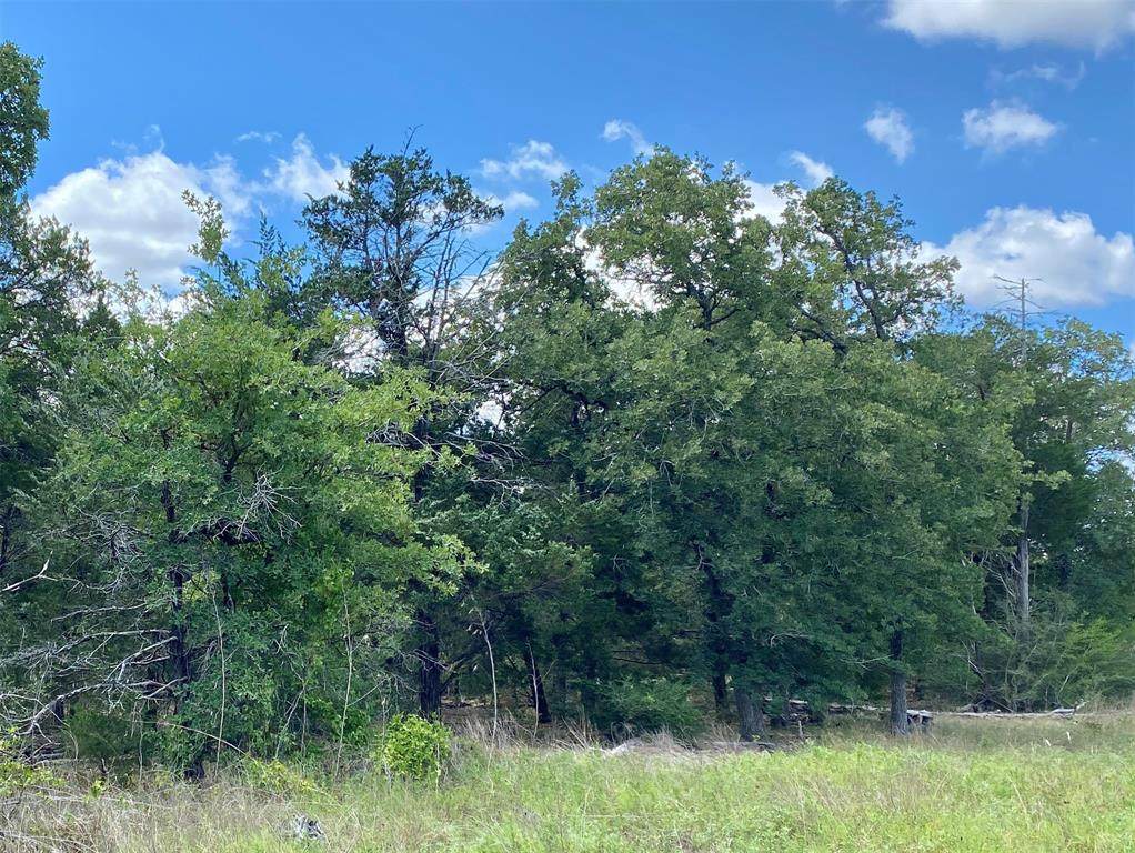 TBD Goehring Rd - Tract 1 - Photo 1