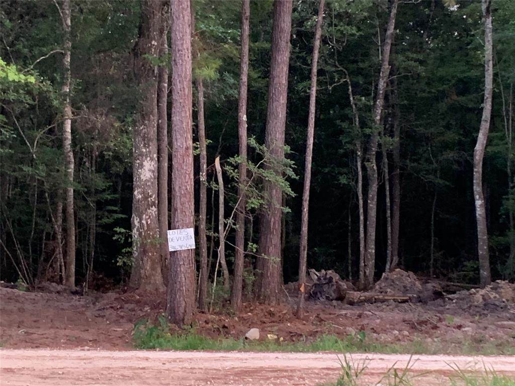 01 Presley Ln Lane - Photo 1