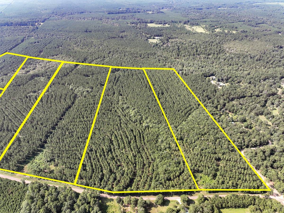 1 County Road 1325 - Photo 1