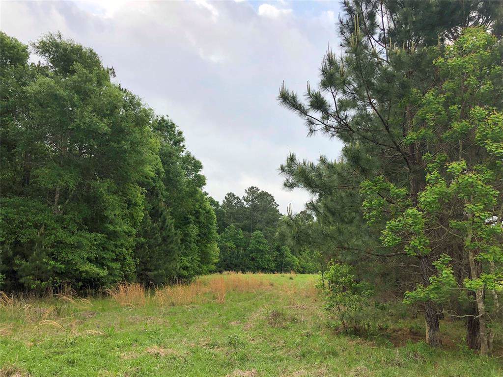0 County Road 2317 - Photo 1