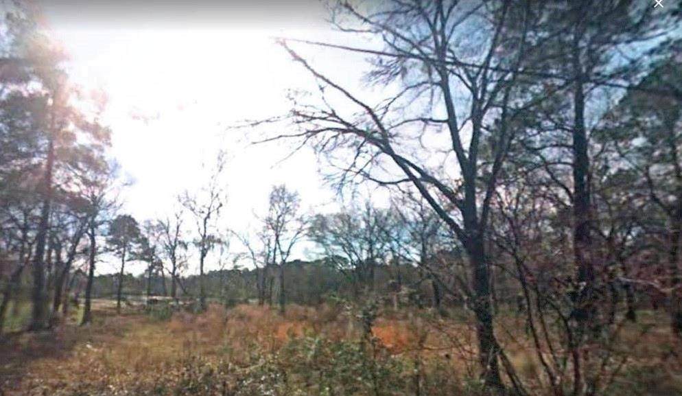000 Long Drive - Photo 1