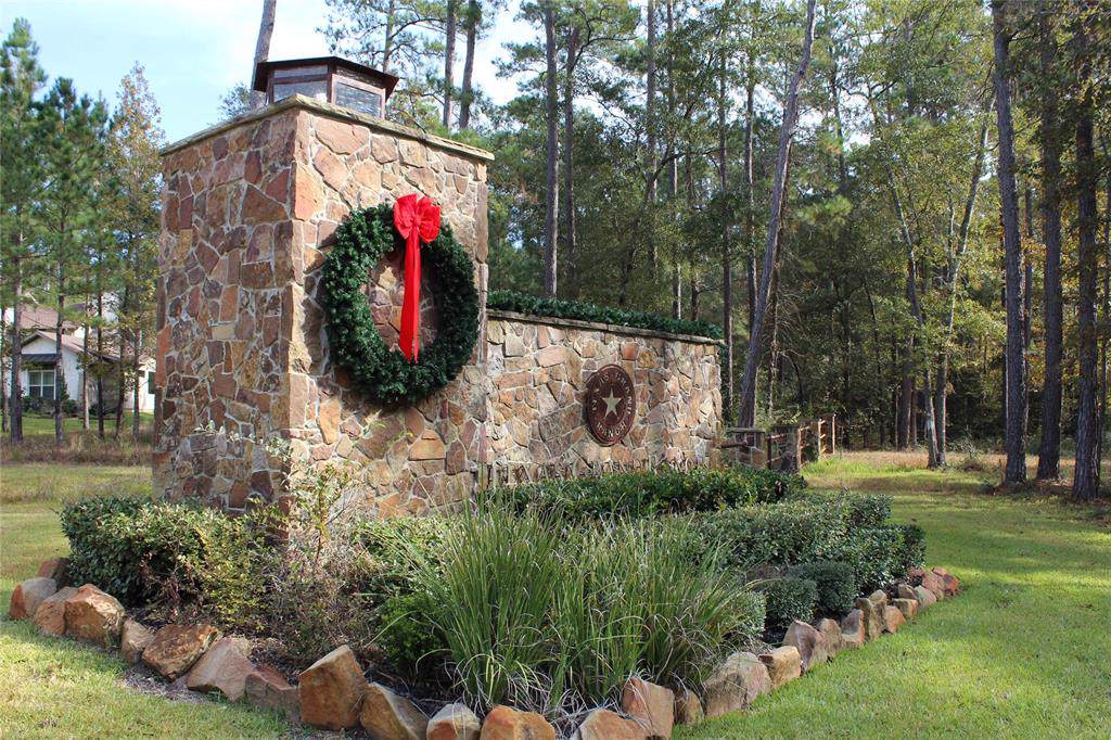 Lot 17 Fire Sky Road - Photo 1