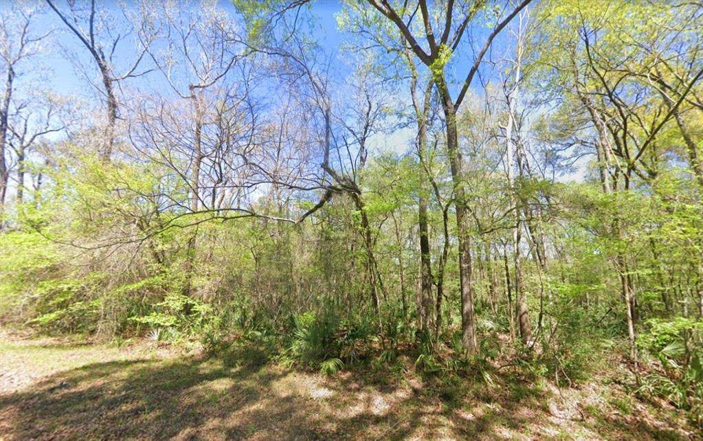 Lot 14 Walnut - Photo 1