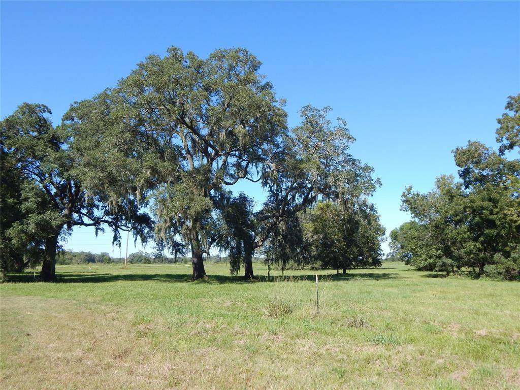318 Green Pasture Court - Photo 1