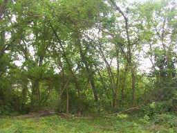 Lot 6-A Lakeview Drive - Photo 1