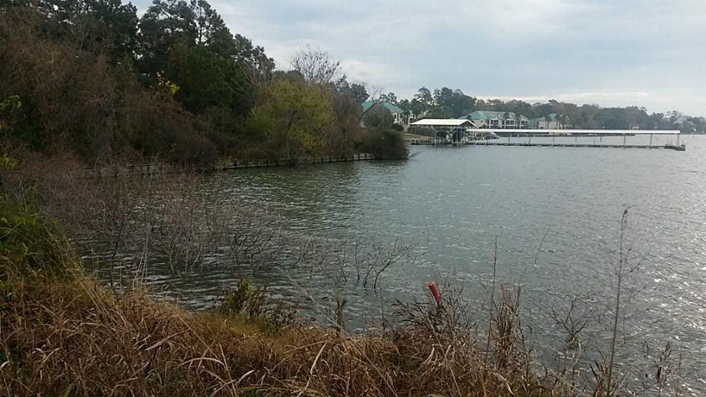 A-8 Walden Road - Photo 1