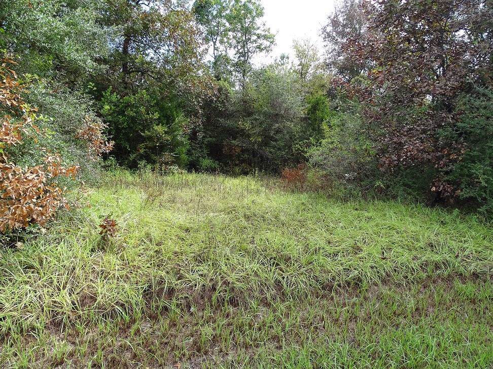00 Sam Houston Rd - Photo 1