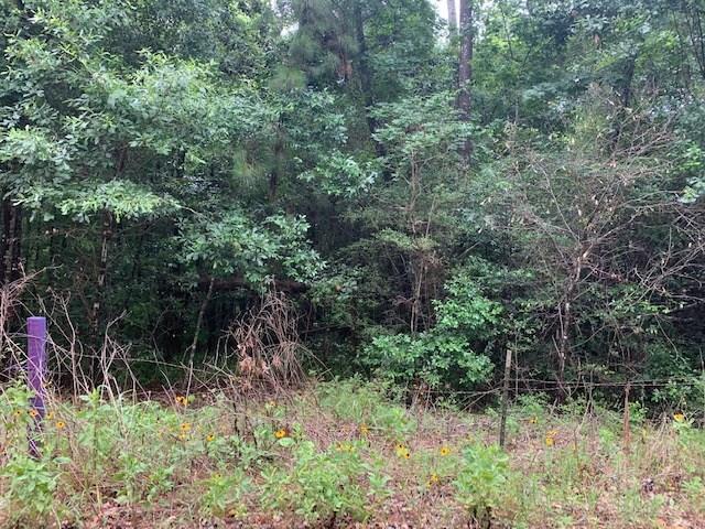 0 Mcgowen Road - Photo 1