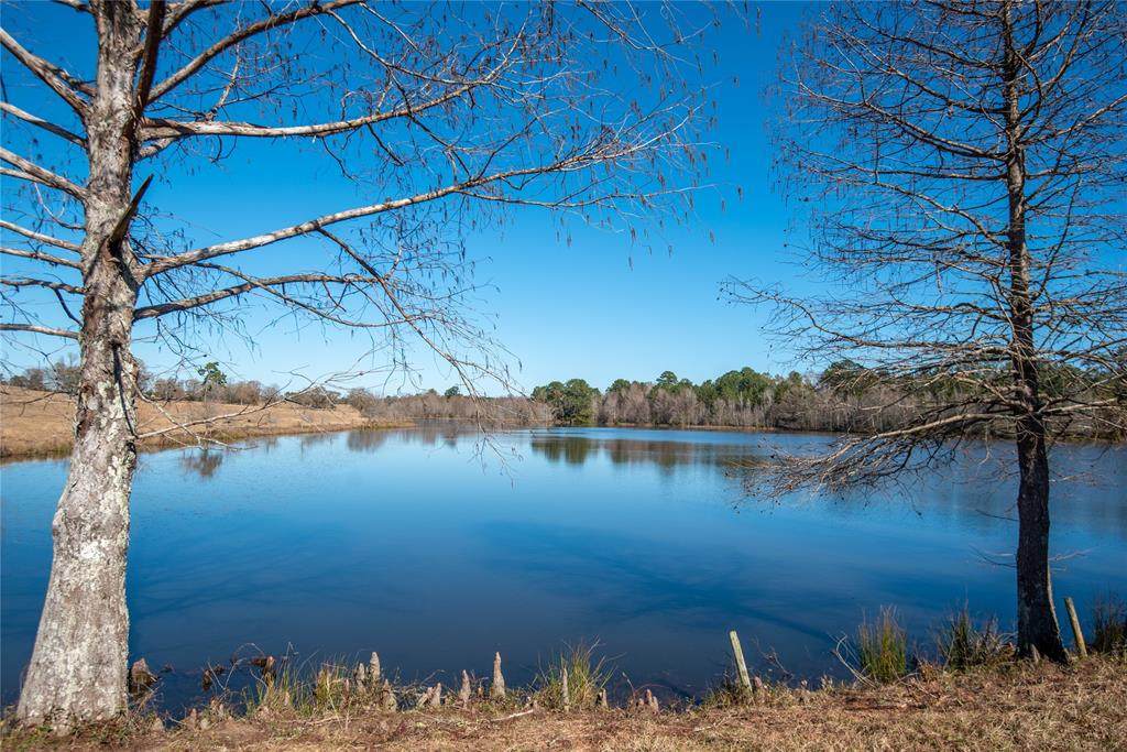 1035 County Road 4335 - Photo 1
