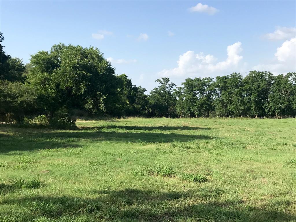 420 Blanco River Ranch Road - Photo 1