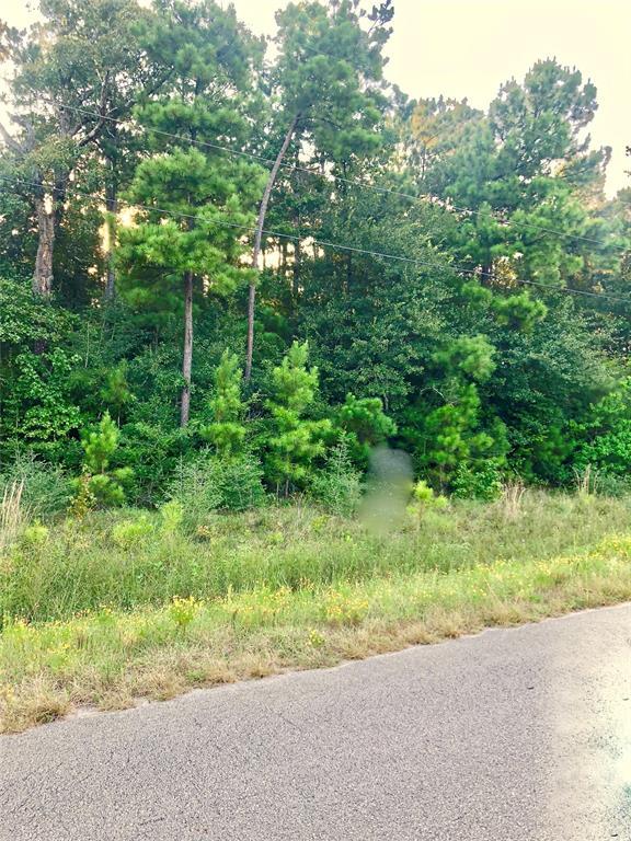 22732 Tamesi Drive - Photo 1