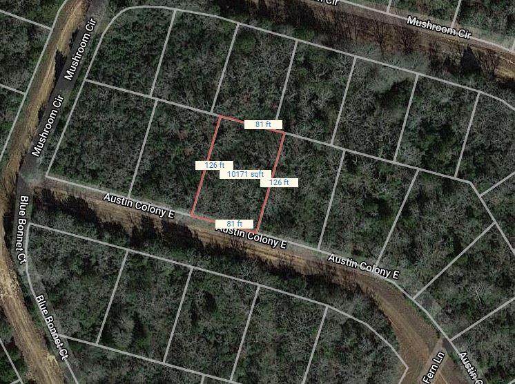 Lot 51 Austin Colony - Photo 1