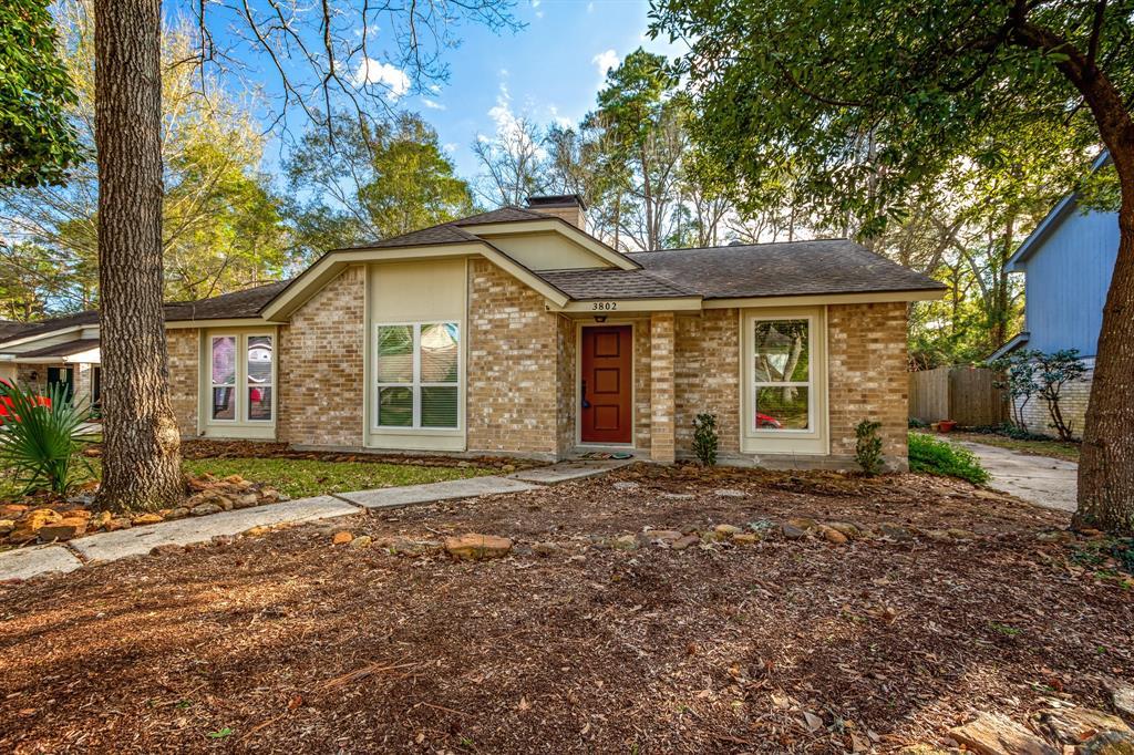 3802 Birch Villa Drive - Photo 1