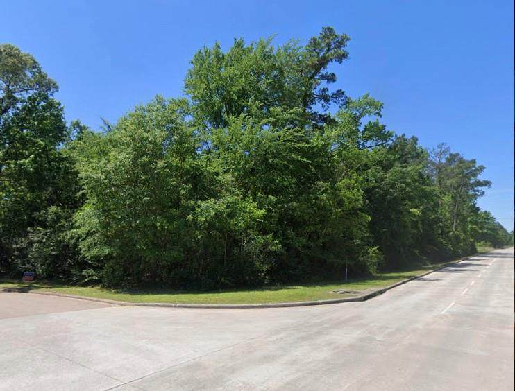 1101 Gladstell Street - Photo 1