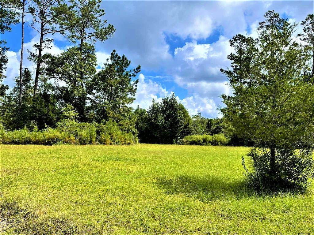 15+/- Acres Matthews Lane - Photo 1