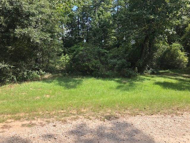 0 W Lake Drive - Photo 1