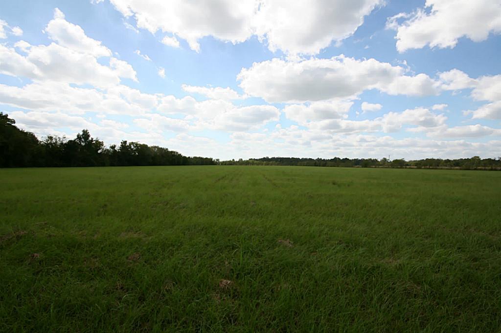 000 Huffman Eastgate Road - Photo 1