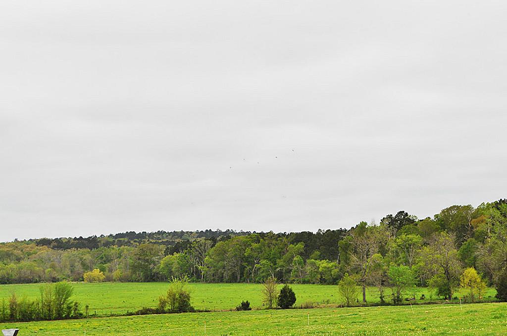 282 Ac County Road 2213 - Photo 1